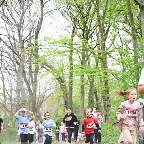 13.04.2025 - Hammer Lauf Dr. Thomas Lammeyer http://msf.ph/oto/7631628 13.04.2025 09:24:54 Laufen 1616, 313, 1615, 857, 1515, 128, 1504 meine-sportfotos.de