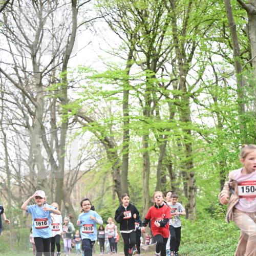 13.04.2025 - Hammer Lauf Dr. Thomas Lammeyer http://msf.ph/oto/7631633 13.04.2025 09:24:54 Laufen 1616, 813, 1615, 57, 428, 1504 meine-sportfotos.de