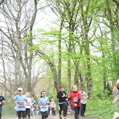 13.04.2025 - Hammer Lauf Dr. Thomas Lammeyer http://msf.ph/oto/7631638 13.04.2025 09:24:54 Laufen 1616, 1615, 1515, 28 meine-sportfotos.de