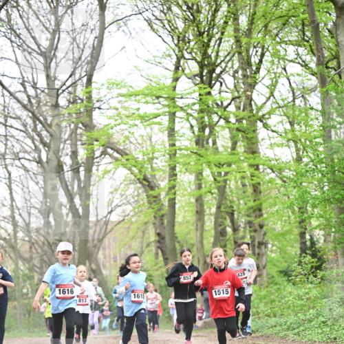 13.04.2025 - Hammer Lauf Dr. Thomas Lammeyer http://msf.ph/oto/7631643 13.04.2025 09:24:54 Laufen 1616, 813, 1615, 857, 1515, 428 meine-sportfotos.de