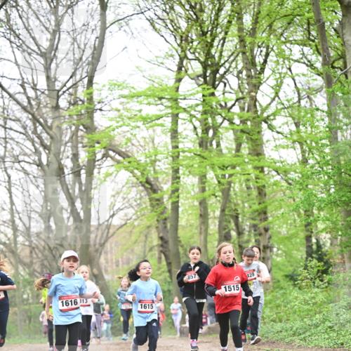 13.04.2025 - Hammer Lauf Dr. Thomas Lammeyer http://msf.ph/oto/7631647 13.04.2025 09:24:54 Laufen 1616, 313, 1615, 857, 1515, 128 meine-sportfotos.de