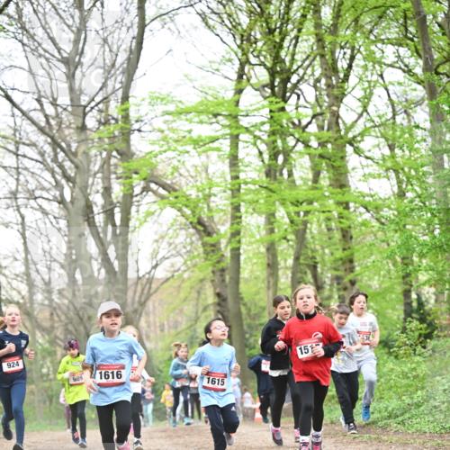 13.04.2025 - Hammer Lauf Dr. Thomas Lammeyer http://msf.ph/oto/7631653 13.04.2025 09:24:55 Laufen 1616, 1615, 15 meine-sportfotos.de