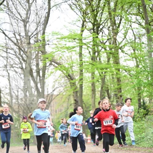 13.04.2025 - Hammer Lauf Dr. Thomas Lammeyer http://msf.ph/oto/7631660 13.04.2025 09:24:55 Laufen 924, 1615, 5, 1515, 1536 meine-sportfotos.de