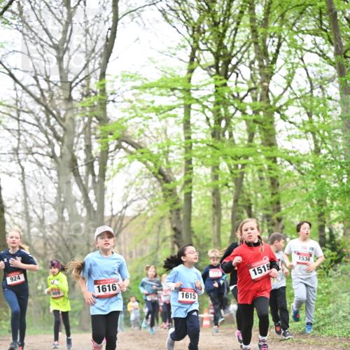 13.04.2025 - Hammer Lauf Dr. Thomas Lammeyer http://msf.ph/oto/7631665 13.04.2025 09:24:55 Laufen 924, 989, 1616, 1615, 777, 1515, 1536 meine-sportfotos.de