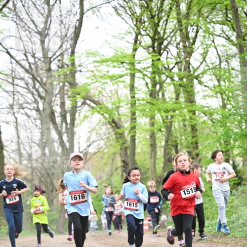 13.04.2025 - Hammer Lauf Dr. Thomas Lammeyer http://msf.ph/oto/7631671 13.04.2025 09:24:55 Laufen 924, 1616, 1615, 1515, 1526 meine-sportfotos.de