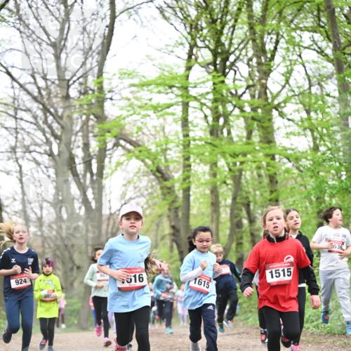 13.04.2025 - Hammer Lauf Dr. Thomas Lammeyer http://msf.ph/oto/7631683 13.04.2025 09:24:55 Laufen 924, 867, 16, 1615, 1515, 636 meine-sportfotos.de