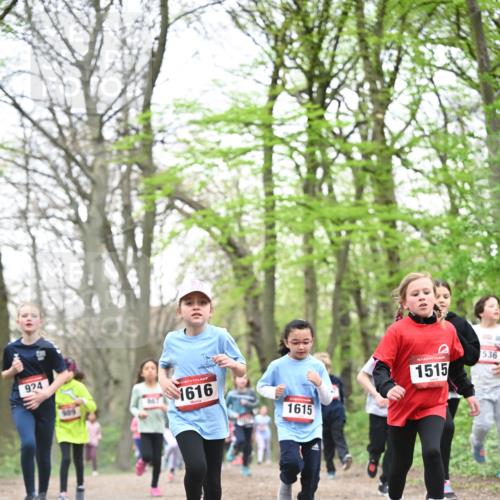 13.04.2025 - Hammer Lauf Dr. Thomas Lammeyer http://msf.ph/oto/7631688 13.04.2025 09:24:55 Laufen 924, 816, 1616, 1615, 15, 1515, 536 meine-sportfotos.de