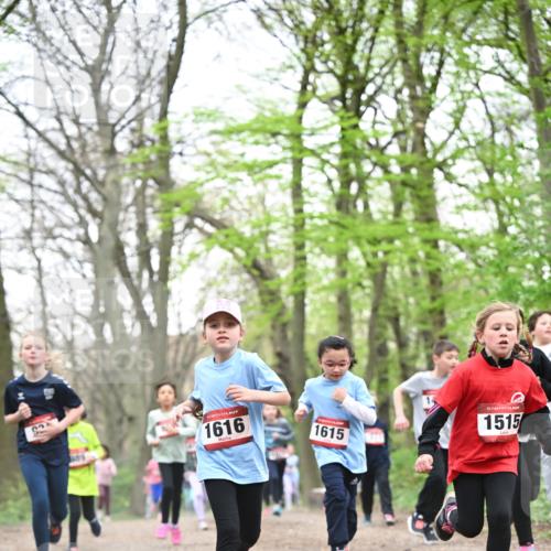 13.04.2025 - Hammer Lauf Dr. Thomas Lammeyer http://msf.ph/oto/7631694 13.04.2025 09:24:56 Laufen 33, 1616, 1615, 15, 1515 meine-sportfotos.de