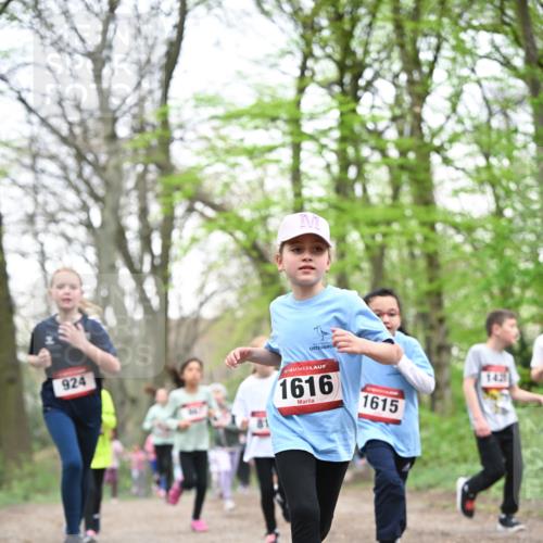 13.04.2025 - Hammer Lauf Dr. Thomas Lammeyer http://msf.ph/oto/7631709 13.04.2025 09:24:56 Laufen 924, 1616, 1615, 1425 meine-sportfotos.de