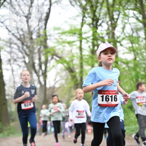 13.04.2025 - Hammer Lauf Dr. Thomas Lammeyer http://msf.ph/oto/7631719 13.04.2025 09:24:56 Laufen 924, 411, 15, 1616, 1425 meine-sportfotos.de