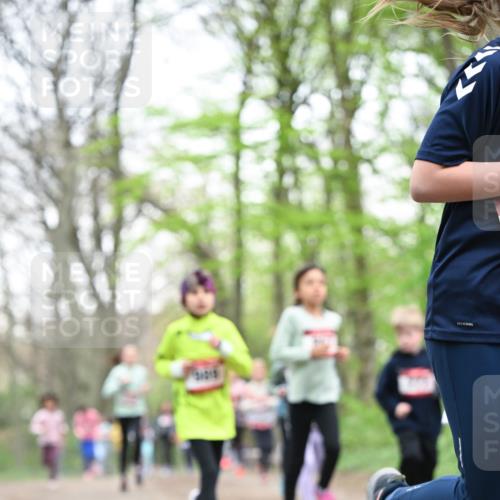 13.04.2025 - Hammer Lauf Dr. Thomas Lammeyer http://msf.ph/oto/7631780 13.04.2025 09:24:58 Laufen  meine-sportfotos.de