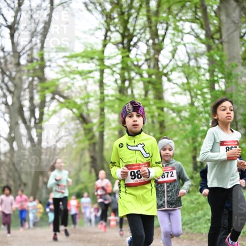 13.04.2025 - Hammer Lauf Dr. Thomas Lammeyer http://msf.ph/oto/7631805 13.04.2025 09:24:59 Laufen 15, 98, 872, 15 meine-sportfotos.de