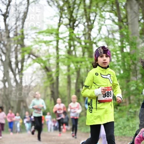 13.04.2025 - Hammer Lauf Dr. Thomas Lammeyer http://msf.ph/oto/7631817 13.04.2025 09:24:59 Laufen 389 meine-sportfotos.de