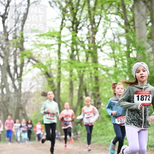 13.04.2025 - Hammer Lauf Dr. Thomas Lammeyer http://msf.ph/oto/7631838 13.04.2025 09:25:00 Laufen 107, 15, 1872 meine-sportfotos.de