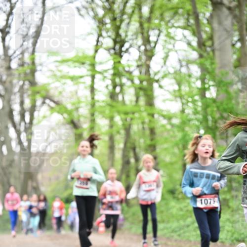 13.04.2025 - Hammer Lauf Dr. Thomas Lammeyer http://msf.ph/oto/7631852 13.04.2025 09:25:00 Laufen 1079 meine-sportfotos.de