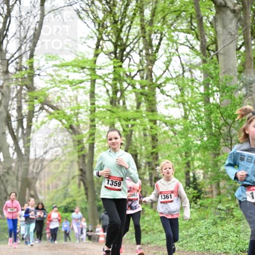 13.04.2025 - Hammer Lauf Dr. Thomas Lammeyer http://msf.ph/oto/7631867 13.04.2025 09:25:01 Laufen 1359, 63, 1361, 1 meine-sportfotos.de