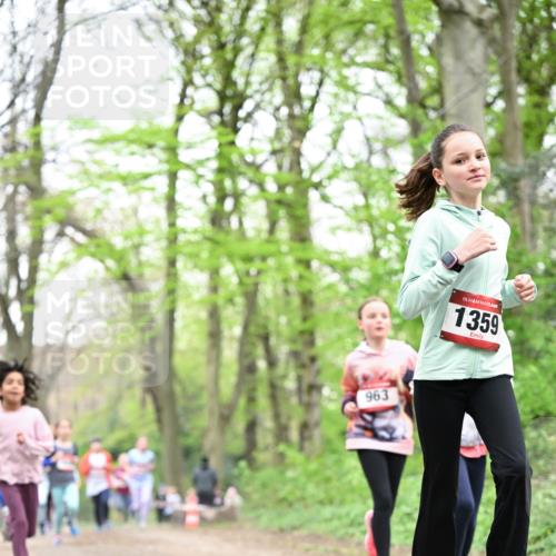 13.04.2025 - Hammer Lauf Dr. Thomas Lammeyer http://msf.ph/oto/7631915 13.04.2025 09:25:02 Laufen 963, 15, 1359 meine-sportfotos.de