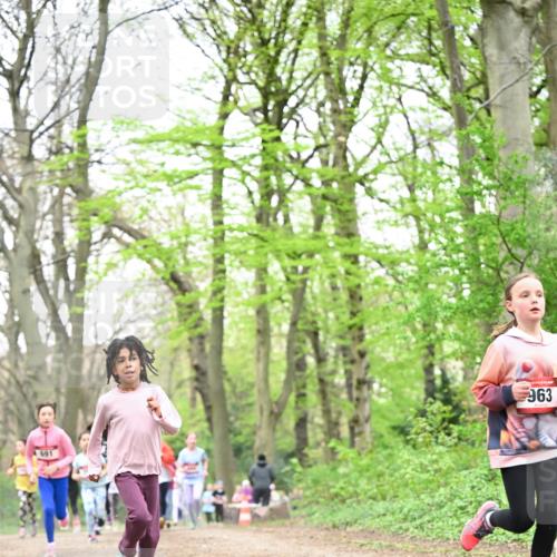 13.04.2025 - Hammer Lauf Dr. Thomas Lammeyer http://msf.ph/oto/7631930 13.04.2025 09:25:02 Laufen 691, 963 meine-sportfotos.de