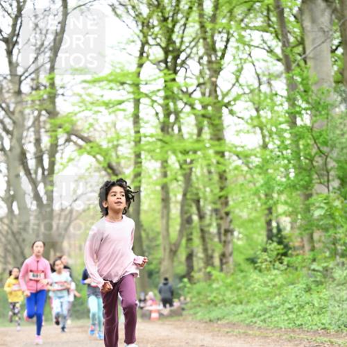 13.04.2025 - Hammer Lauf Dr. Thomas Lammeyer http://msf.ph/oto/7631952 13.04.2025 09:25:02 Laufen  meine-sportfotos.de