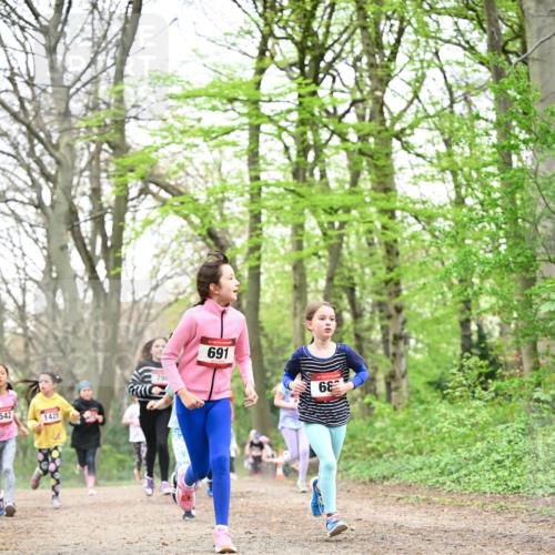 13.04.2025 - Hammer Lauf Dr. Thomas Lammeyer http://msf.ph/oto/7632032 13.04.2025 09:25:04 Laufen 542, 1425, 798, 691, 68 meine-sportfotos.de