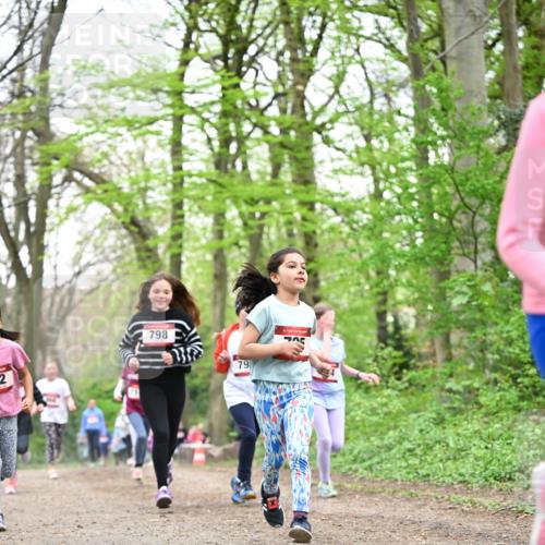 13.04.2025 - Hammer Lauf Dr. Thomas Lammeyer http://msf.ph/oto/7632099 13.04.2025 09:25:06 Laufen 2, 798, 79, 15 meine-sportfotos.de