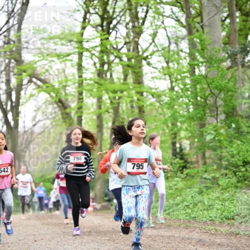 13.04.2025 - Hammer Lauf Dr. Thomas Lammeyer http://msf.ph/oto/7632105 13.04.2025 09:25:06 Laufen 798, 542, 15, 795, 844 meine-sportfotos.de