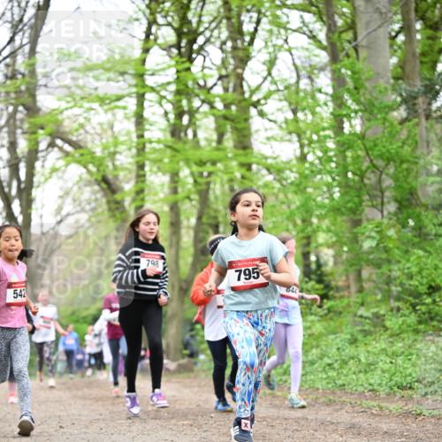 13.04.2025 - Hammer Lauf Dr. Thomas Lammeyer http://msf.ph/oto/7632113 13.04.2025 09:25:06 Laufen 542, 798, 15, 795 meine-sportfotos.de