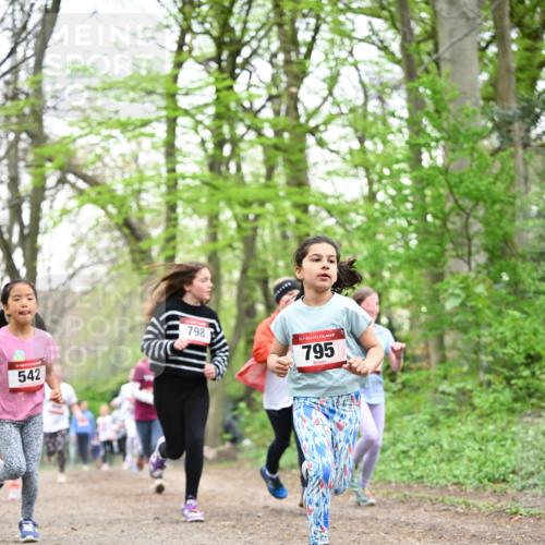 13.04.2025 - Hammer Lauf Dr. Thomas Lammeyer http://msf.ph/oto/7632120 13.04.2025 09:25:07 Laufen 542, 798, 15, 795 meine-sportfotos.de