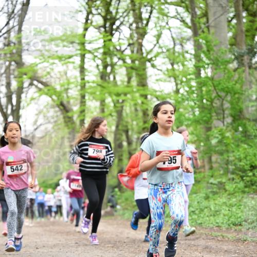 13.04.2025 - Hammer Lauf Dr. Thomas Lammeyer http://msf.ph/oto/7632128 13.04.2025 09:25:07 Laufen 542, 798, 95 meine-sportfotos.de