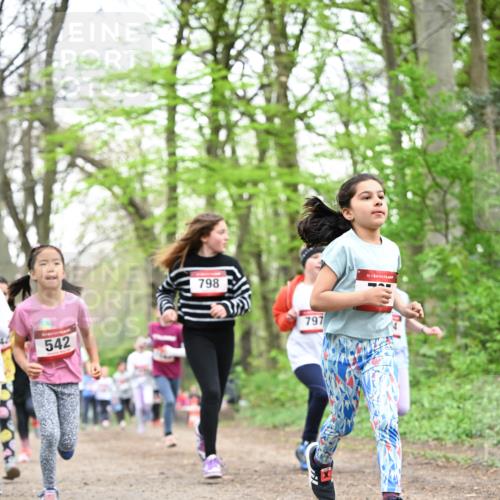 13.04.2025 - Hammer Lauf Dr. Thomas Lammeyer http://msf.ph/oto/7632135 13.04.2025 09:25:07 Laufen 542, 798, 797, 15 meine-sportfotos.de