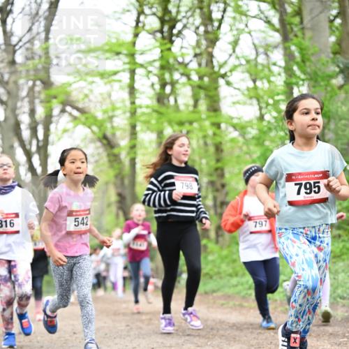 13.04.2025 - Hammer Lauf Dr. Thomas Lammeyer http://msf.ph/oto/7632141 13.04.2025 09:25:07 Laufen 816, 542, 798, 797, 15, 795 meine-sportfotos.de