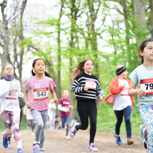 13.04.2025 - Hammer Lauf Dr. Thomas Lammeyer http://msf.ph/oto/7632149 13.04.2025 09:25:07 Laufen 816, 542, 15, 79 meine-sportfotos.de