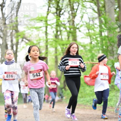 13.04.2025 - Hammer Lauf Dr. Thomas Lammeyer http://msf.ph/oto/7632154 13.04.2025 09:25:07 Laufen 816, 542, 798 meine-sportfotos.de