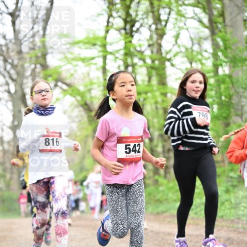 13.04.2025 - Hammer Lauf Dr. Thomas Lammeyer http://msf.ph/oto/7632166 13.04.2025 09:25:08 Laufen 816, 15, 542, 798 meine-sportfotos.de