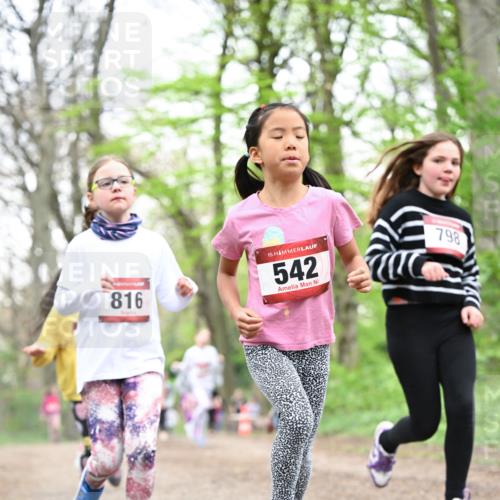 13.04.2025 - Hammer Lauf Dr. Thomas Lammeyer http://msf.ph/oto/7632173 13.04.2025 09:25:08 Laufen 816, 15, 542, 798 meine-sportfotos.de