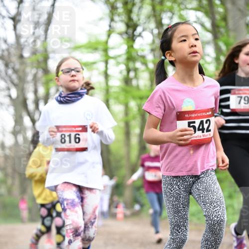 13.04.2025 - Hammer Lauf Dr. Thomas Lammeyer http://msf.ph/oto/7632189 13.04.2025 09:25:08 Laufen 816, 15, 542, 79 meine-sportfotos.de
