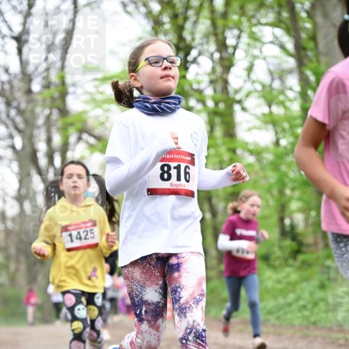 13.04.2025 - Hammer Lauf Dr. Thomas Lammeyer http://msf.ph/oto/7632198 13.04.2025 09:25:08 Laufen 1425, 816 meine-sportfotos.de