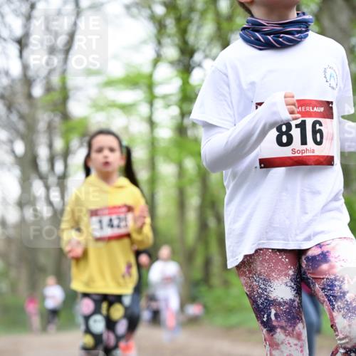 13.04.2025 - Hammer Lauf Dr. Thomas Lammeyer http://msf.ph/oto/7632217 13.04.2025 09:25:09 Laufen 142, 816 meine-sportfotos.de