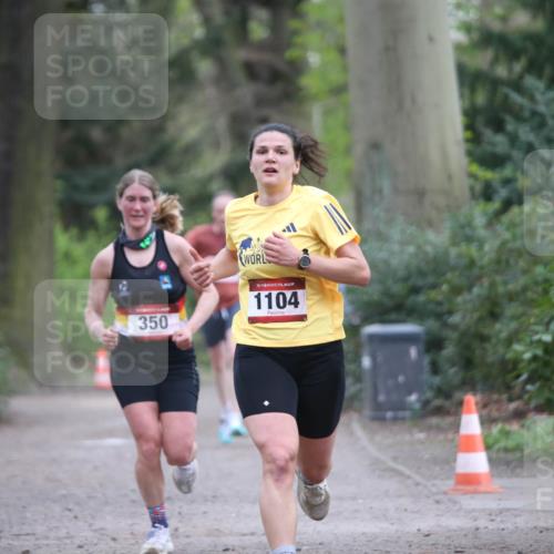 13.04.2025 - Hammer Lauf Jannik Wohlers http://msf.ph/oto/7632220 13.04.2025 10:27:52 Laufen 350, 15, 1104 meine-sportfotos.de