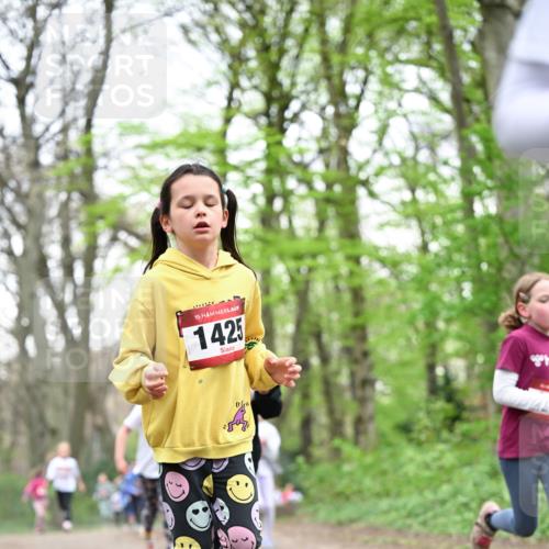 13.04.2025 - Hammer Lauf Dr. Thomas Lammeyer http://msf.ph/oto/7632223 13.04.2025 09:25:09 Laufen 15, 1425 meine-sportfotos.de