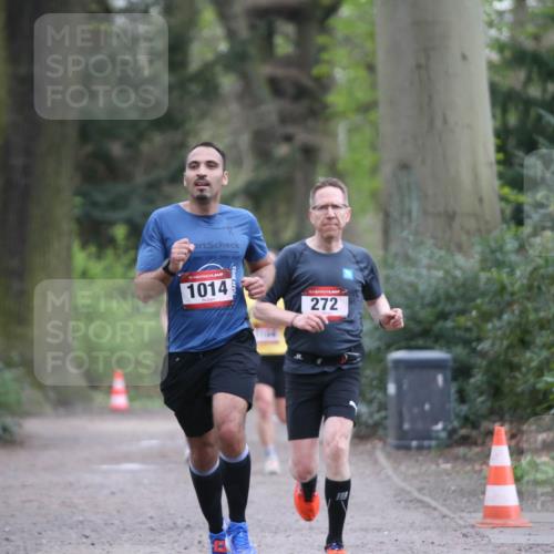 13.04.2025 - Hammer Lauf Jannik Wohlers http://msf.ph/oto/7632259 13.04.2025 10:27:48 Laufen 15, 1014, 272 meine-sportfotos.de