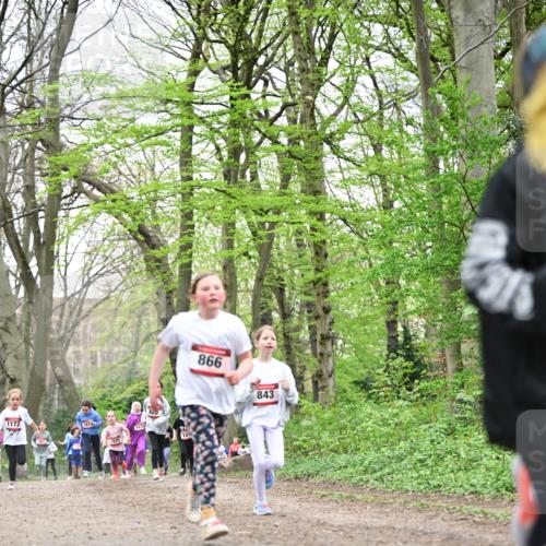 13.04.2025 - Hammer Lauf Dr. Thomas Lammeyer http://msf.ph/oto/7632261 13.04.2025 09:25:10 Laufen 1172, 315, 1472, 141, 866, 843 meine-sportfotos.de