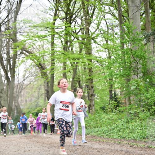13.04.2025 - Hammer Lauf Dr. Thomas Lammeyer http://msf.ph/oto/7632269 13.04.2025 09:25:10 Laufen 1172, 820, 866, 043 meine-sportfotos.de