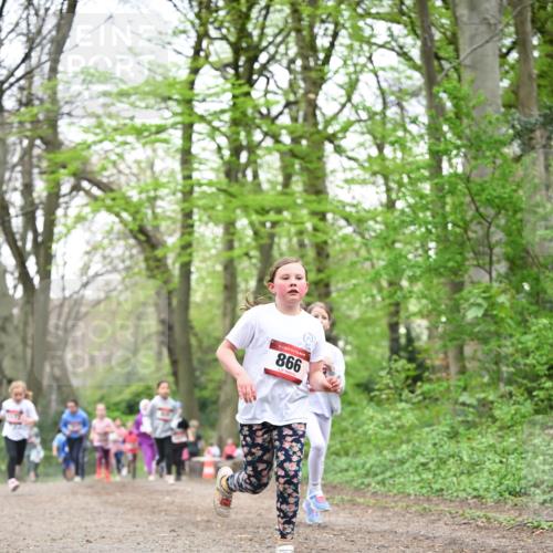 13.04.2025 - Hammer Lauf Dr. Thomas Lammeyer http://msf.ph/oto/7632282 13.04.2025 09:25:11 Laufen 15, 866 meine-sportfotos.de