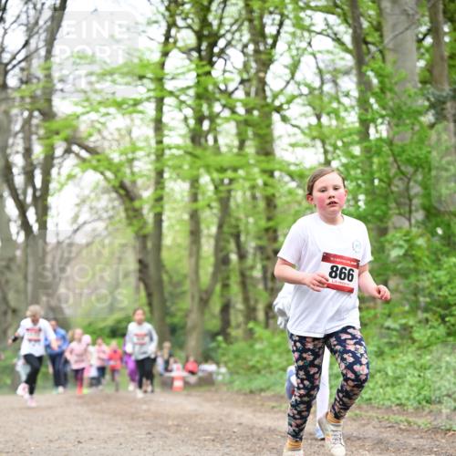 13.04.2025 - Hammer Lauf Dr. Thomas Lammeyer http://msf.ph/oto/7632303 13.04.2025 09:25:11 Laufen 15, 866 meine-sportfotos.de