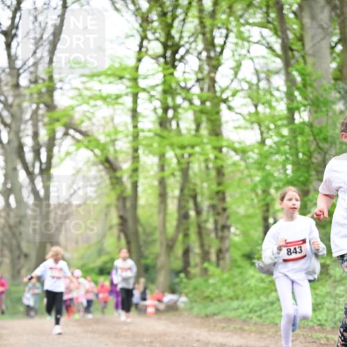 13.04.2025 - Hammer Lauf Dr. Thomas Lammeyer http://msf.ph/oto/7632324 13.04.2025 09:25:11 Laufen 843 meine-sportfotos.de