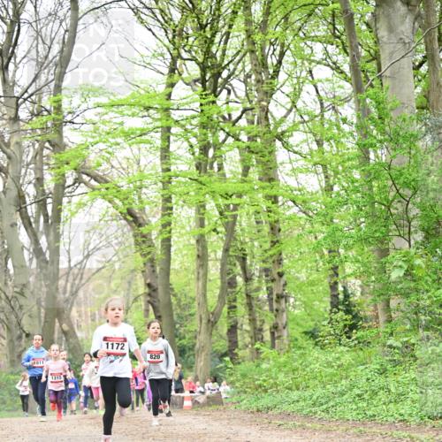13.04.2025 - Hammer Lauf Dr. Thomas Lammeyer http://msf.ph/oto/7632357 13.04.2025 09:25:12 Laufen 4, 1811, 1315, 1172, 820 meine-sportfotos.de