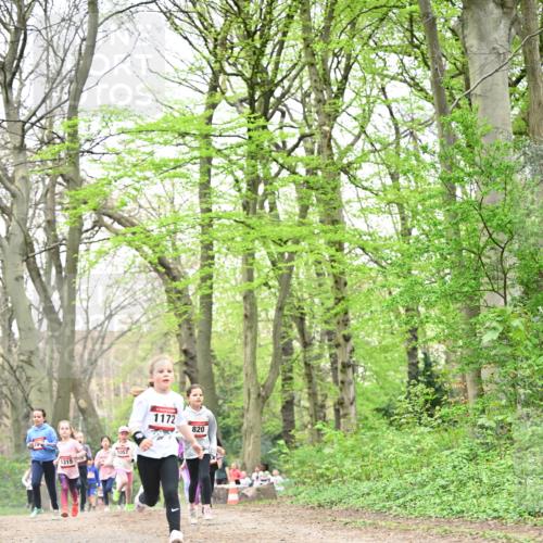13.04.2025 - Hammer Lauf Dr. Thomas Lammeyer http://msf.ph/oto/7632364 13.04.2025 09:25:12 Laufen 1315, 1172, 820 meine-sportfotos.de