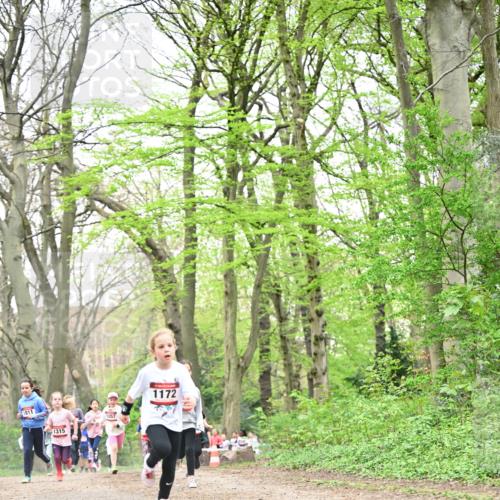 13.04.2025 - Hammer Lauf Dr. Thomas Lammeyer http://msf.ph/oto/7632374 13.04.2025 09:25:13 Laufen 1811, 1315, 1172 meine-sportfotos.de