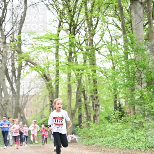 13.04.2025 - Hammer Lauf Dr. Thomas Lammeyer http://msf.ph/oto/7632382 13.04.2025 09:25:13 Laufen 1172 meine-sportfotos.de
